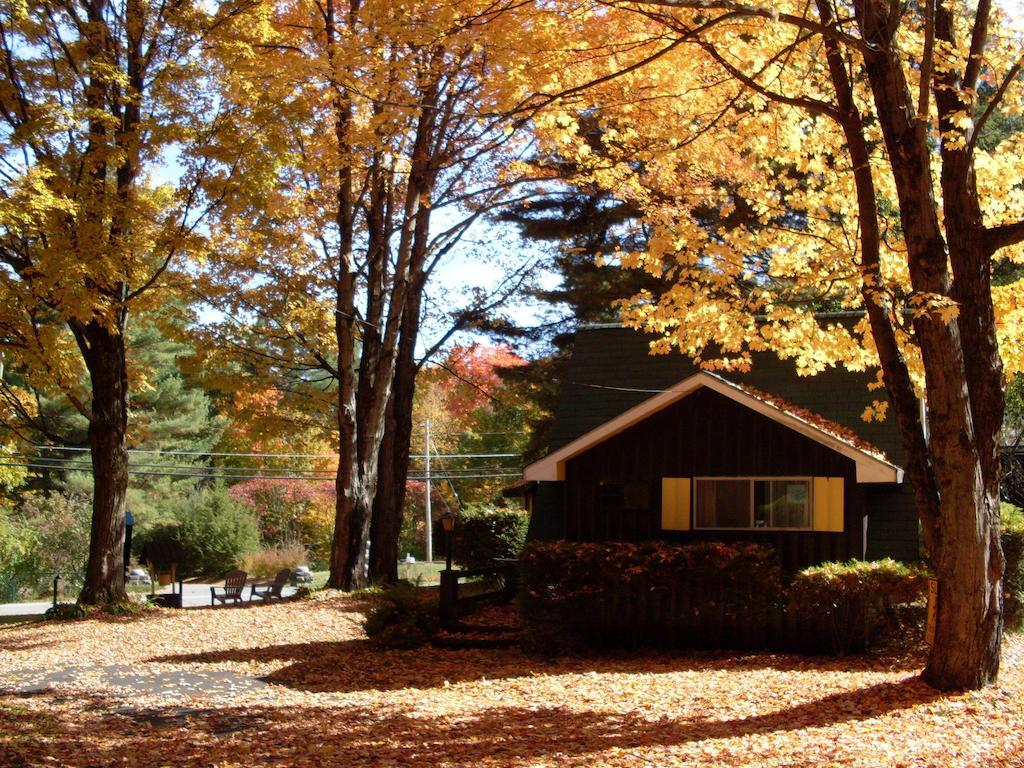 Amber Lantern Motel Lake George Dış mekan fotoğraf