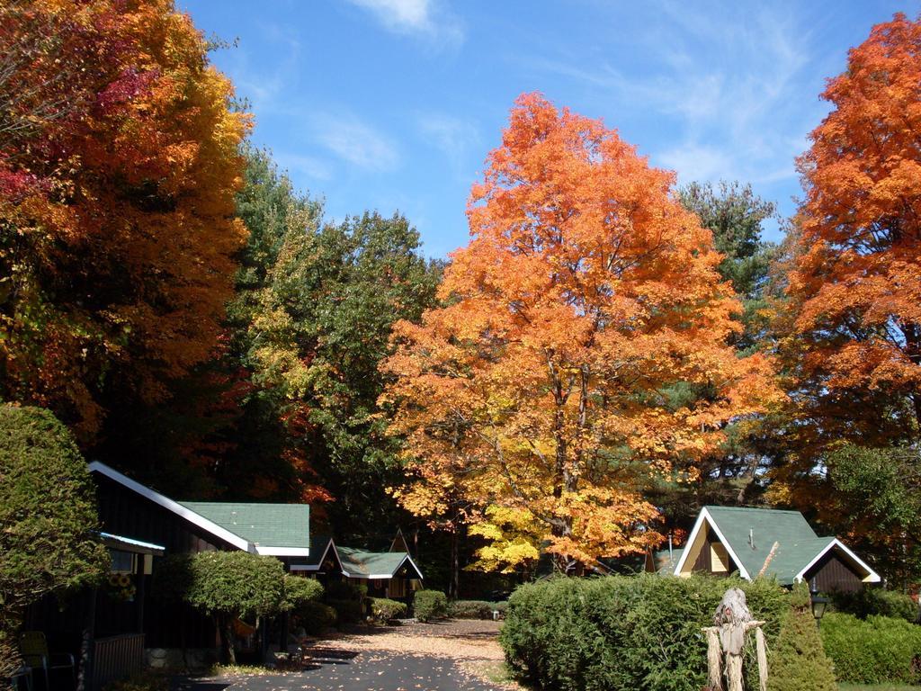 Amber Lantern Motel Lake George Dış mekan fotoğraf